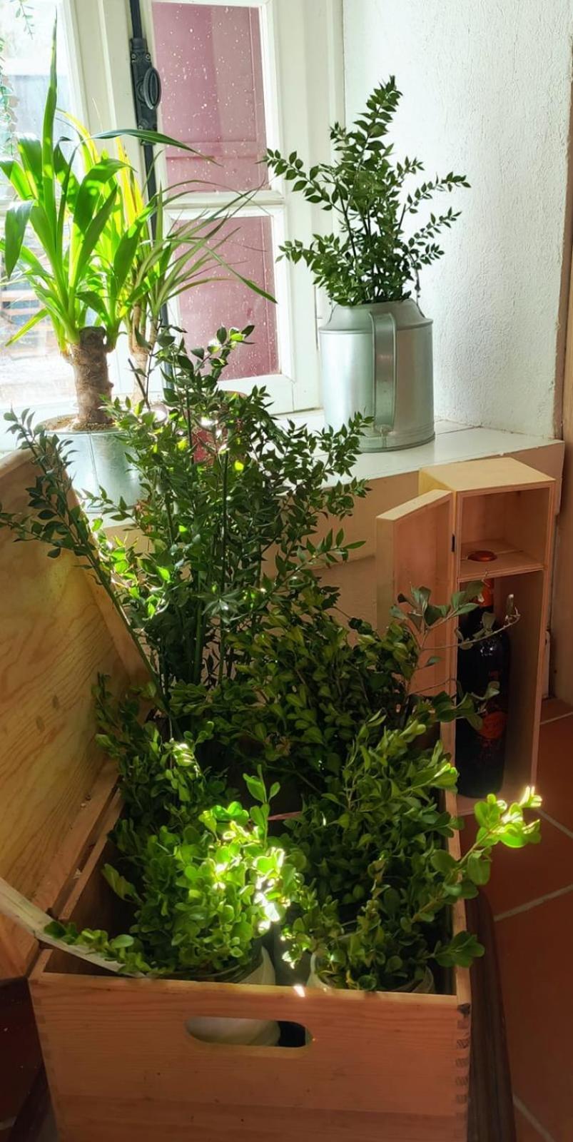 Berlin'S Guest House 울라 외부 사진